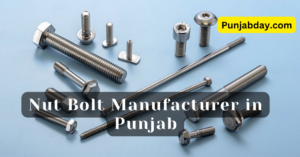 nut bolt manufacturer in punjab​