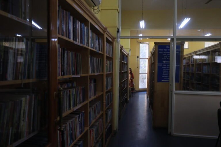 Beyond Bookshelves: Creating Inviting, Functional Reading Environments